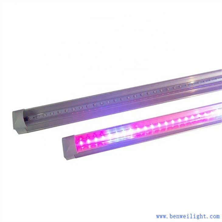Grow Light Color Σημασία