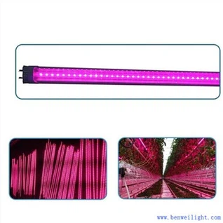 Led Grow Lights