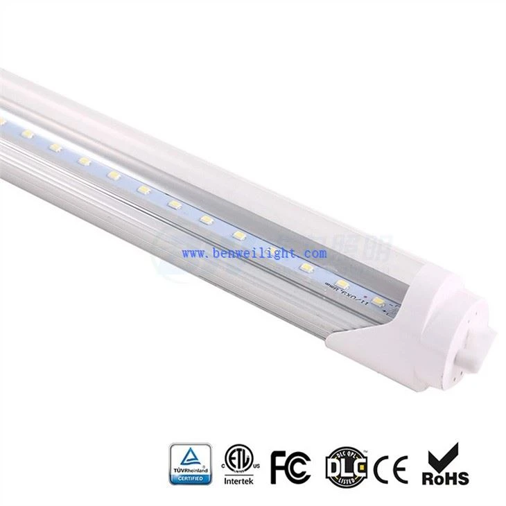 T8 Bulb Lumens