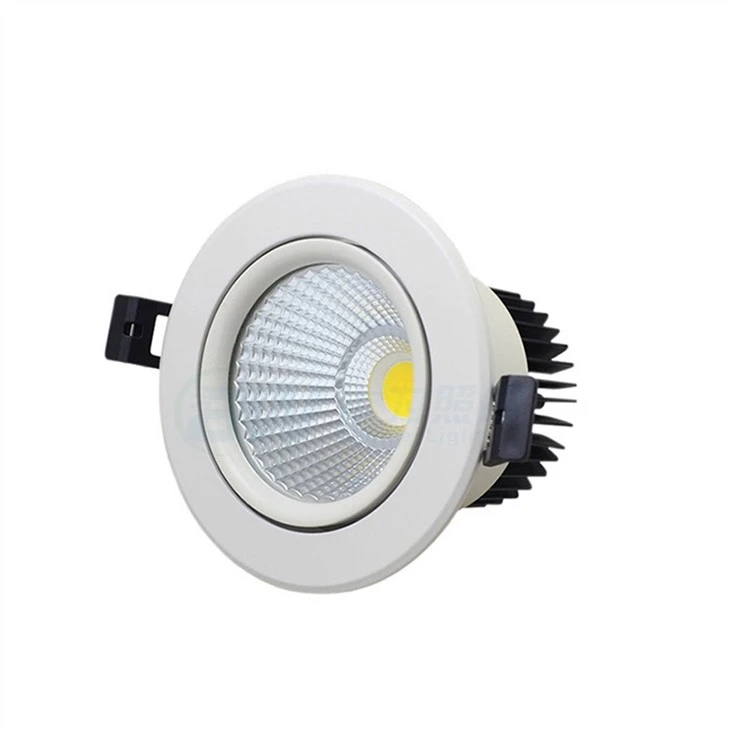 Hue 4 Inch Downlight