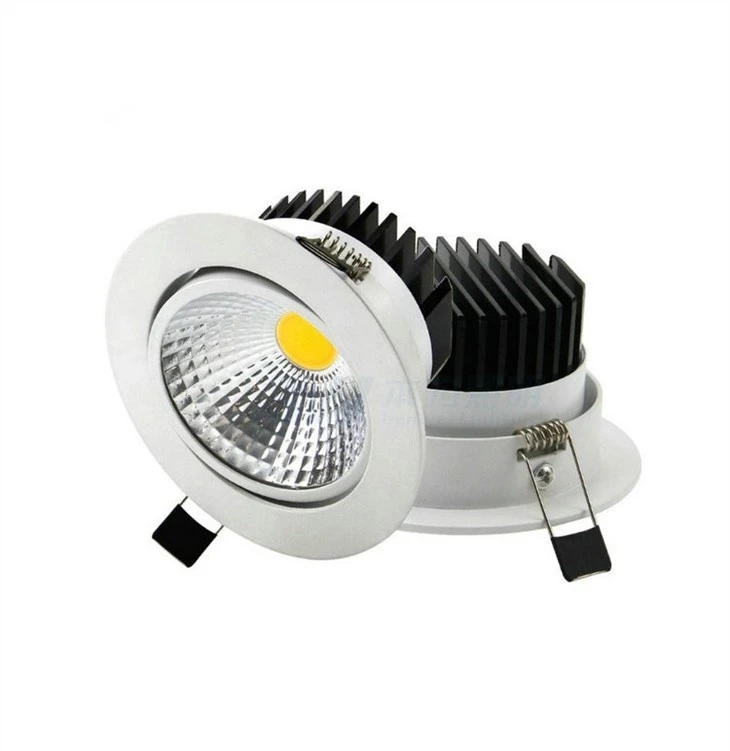 Hue 4 Inch Downlight