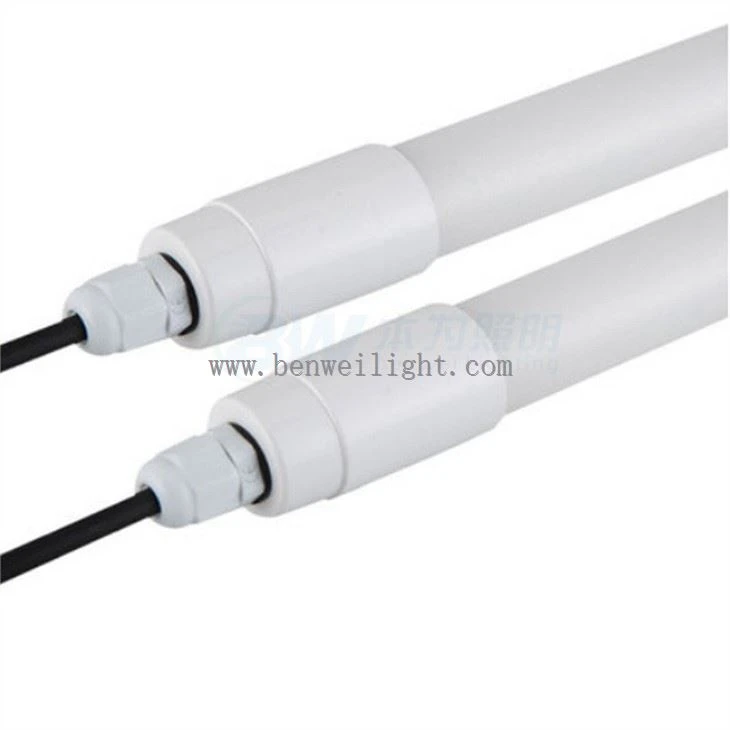 led chicken light