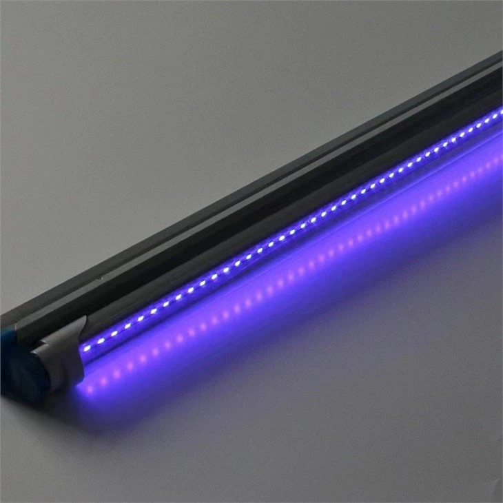 Ultraviolet Fly Trap