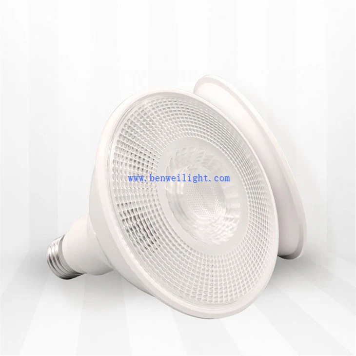 par38 light fixture