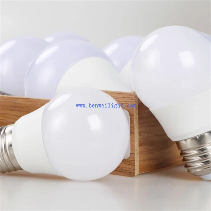 E27 Indoor Bulb (3)