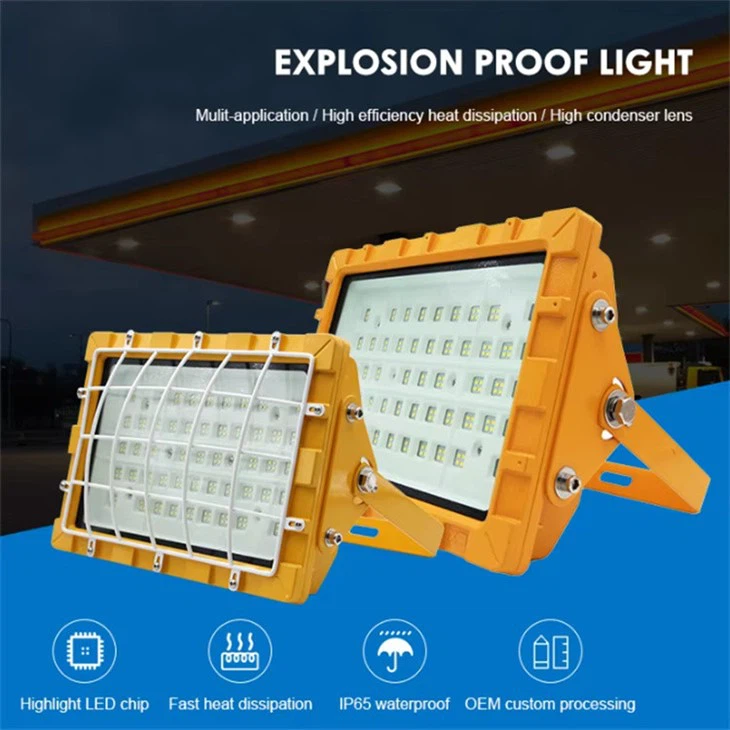 explosion proof light fixture