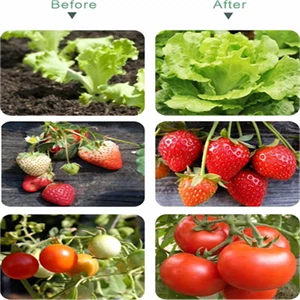 info-300-300