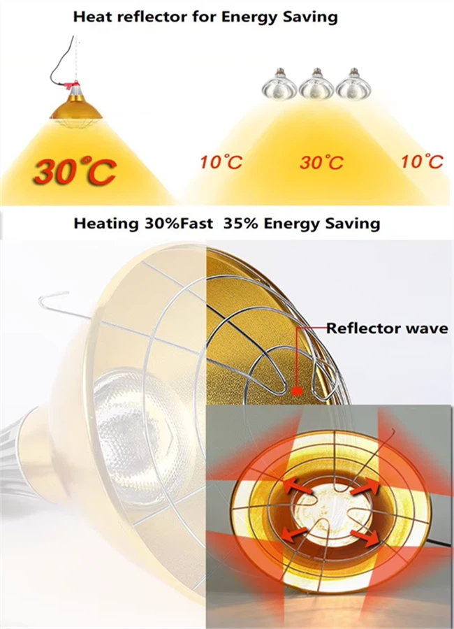 product-650-900