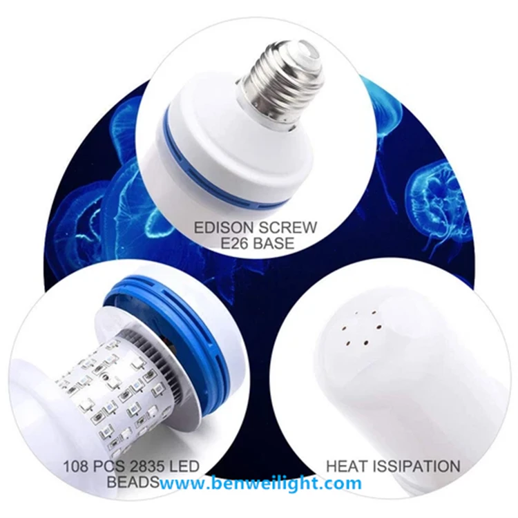 product-750-750
